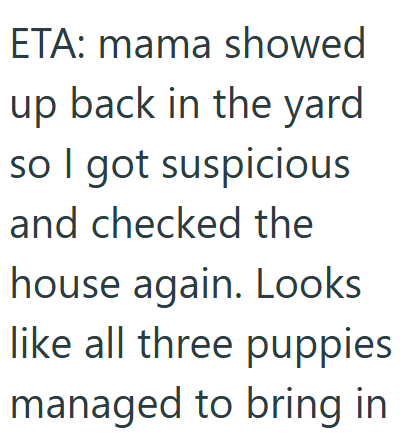 ETA: mama showed up back in the yard so I got suspicious and checked the house again. Looks like all three puppies managed to bring in