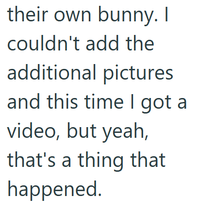 their own bunny. I couldn't add the additional pictures and this time I got a video, but yeah, that's a thing that happened.