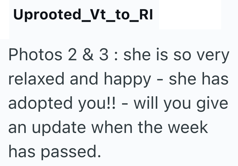 Uprooted_Vt_to_RI Photos 2 & 3 : she is so very relaxed and happy - she has · adopted you!! - will you give an update when the week has passed.
