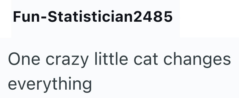 Fun-Statistician2485 One crazy little cat changes everything