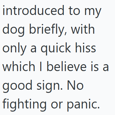 introduced to my dog briefly, with only a quick hiss which I believe is a good sign. No fighting or panic.