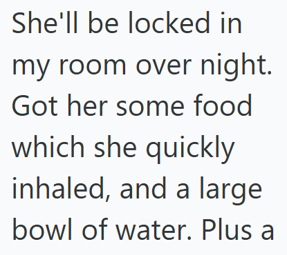She'll be locked in my room over night. Got her some food which she quickly inhaled, and a large bowl of water. Plus a