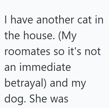 I have another cat in the house. (My roomates so it's not an immediate betrayal) and my dog. She was