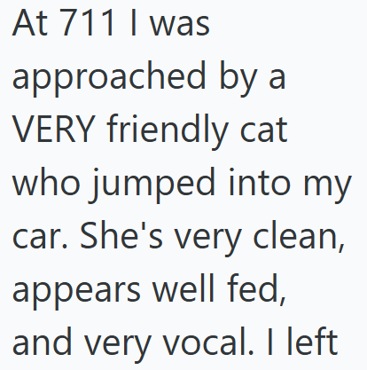 At 711 I was approached by a VERY friendly cat who jumped into my car. She's very clean, appears well fed, and very vocal. I left