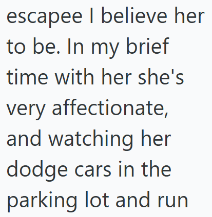 escapee I believe her to be. In my brief time with her she's very affectionate, and watching her dodge cars in the parking lot and run