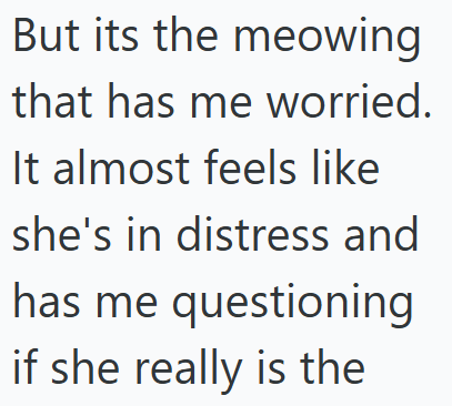 But its the meowing that has me worried. It almost feels like she's in distress and has me questioning if she really is the