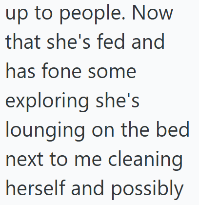 up to people. Now that she's fed and has fone some exploring she's lounging on the bed next to me cleaning herself and possibly