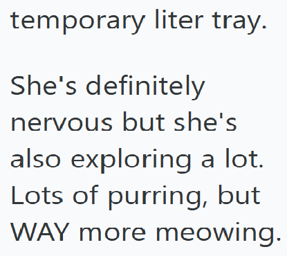 temporary liter tray. She's definitely nervous but she's also exploring a lot. Lots of purring, but WAY more meowing.