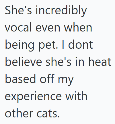 She's incredibly vocal even when being pet. I dont believe she's in heat based off my experience with other cats.