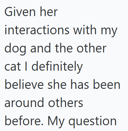 Given her interactions with my dog and the other cat I definitely believe she has been around others before. My question