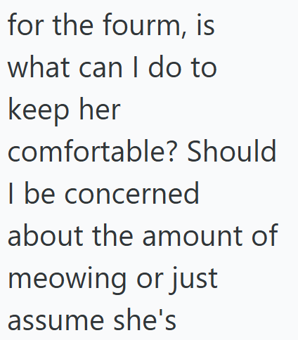 for the fourm, is what can I do to keep her comfortable? Should I be concerned about the amount of meowing or just assume she's