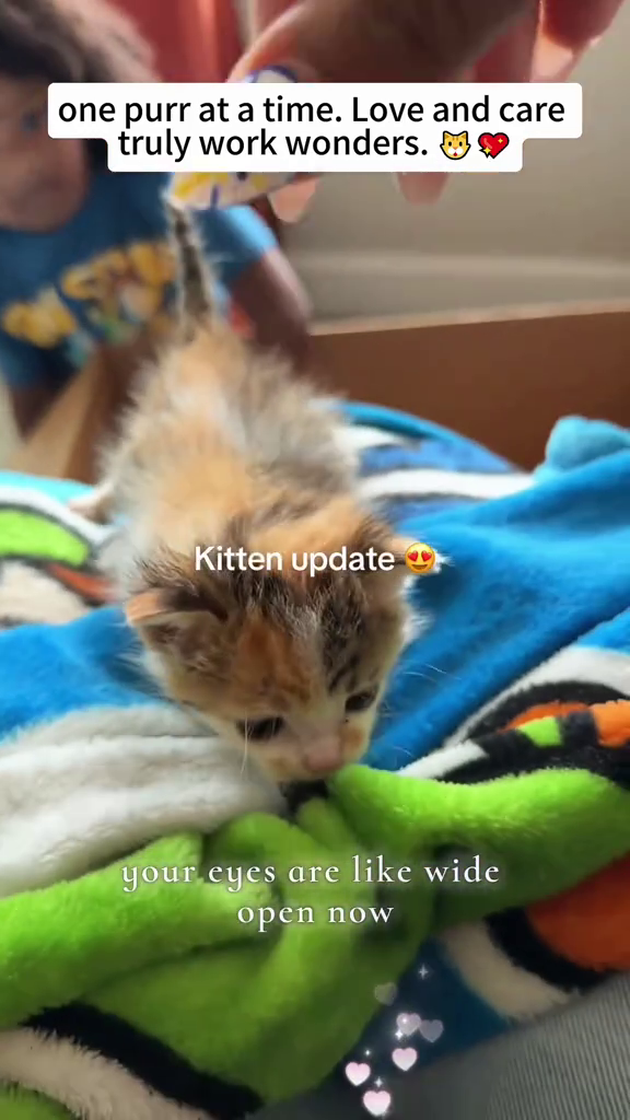 one purr at a time. Love and care truly work wonders. Kitten update your eyes are like wide open now