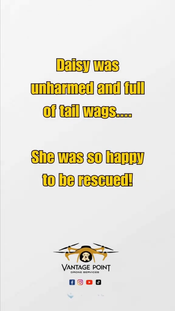 Daisy was unharmed and full of tail wags...0 She was so happy to be rescued! VANTAGE POINT DRONE SERVICES