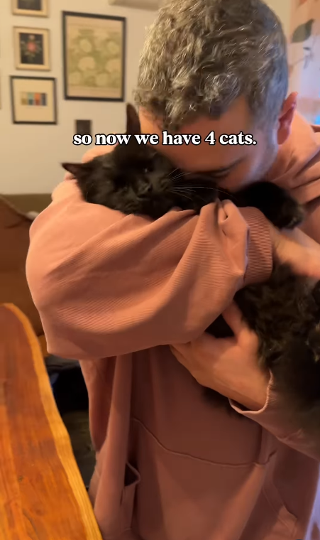 So now we have 4 cats.