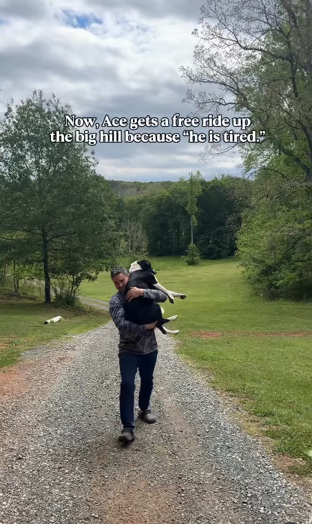 Now, Ace gets a free ride up the big hill because "he is tired."