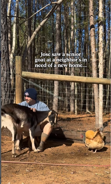 Jose saw a senior goat at a neighbor's in need of a new home....