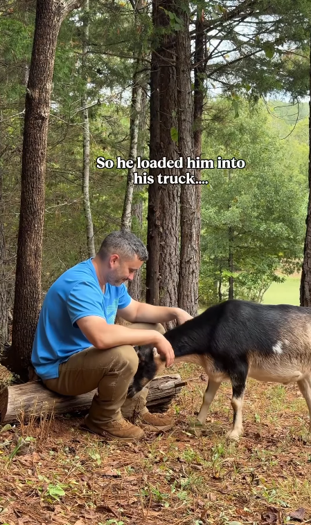 So he loaded him into his truck....