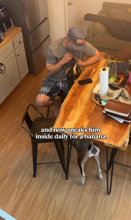 Л and now sneaks him inside daily for a banana.