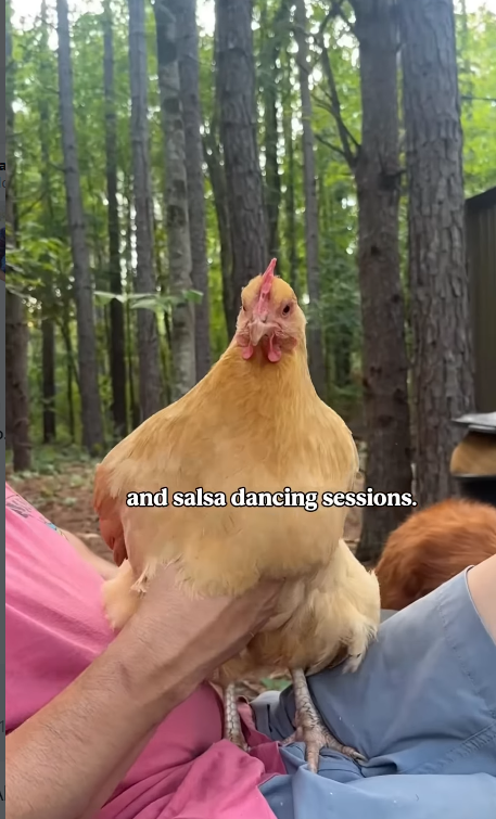 and salsa dancing sessions.