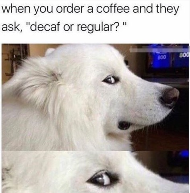 when you order a coffee and they ask, "decaf or regular?" 600 800