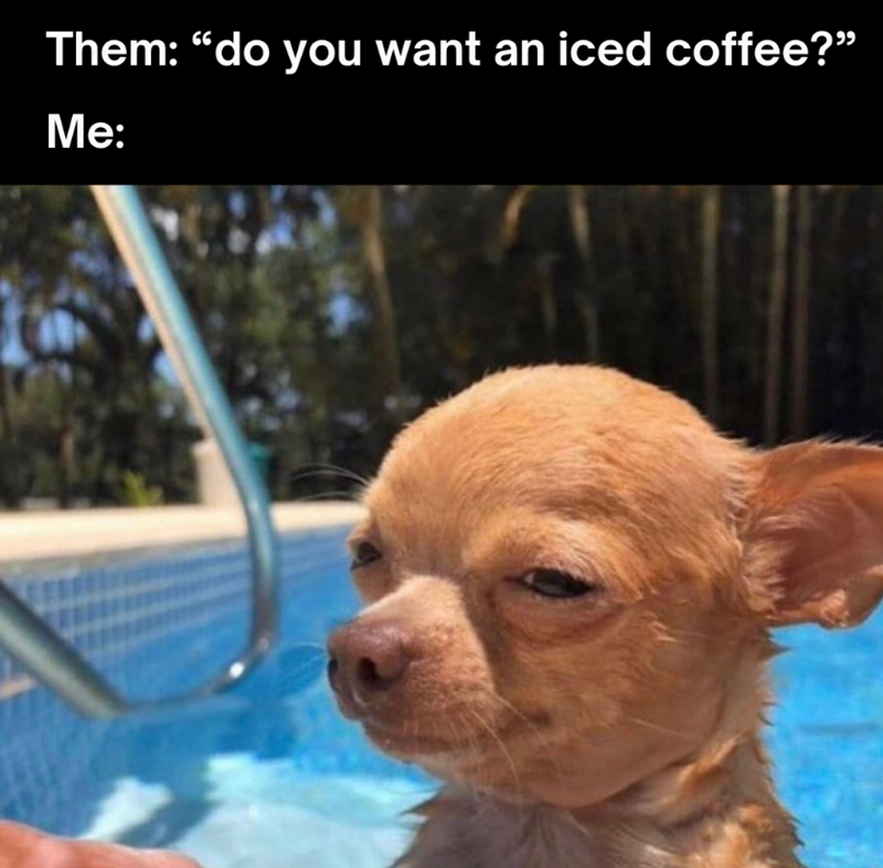 Them: "do you want an iced coffee?” Me: