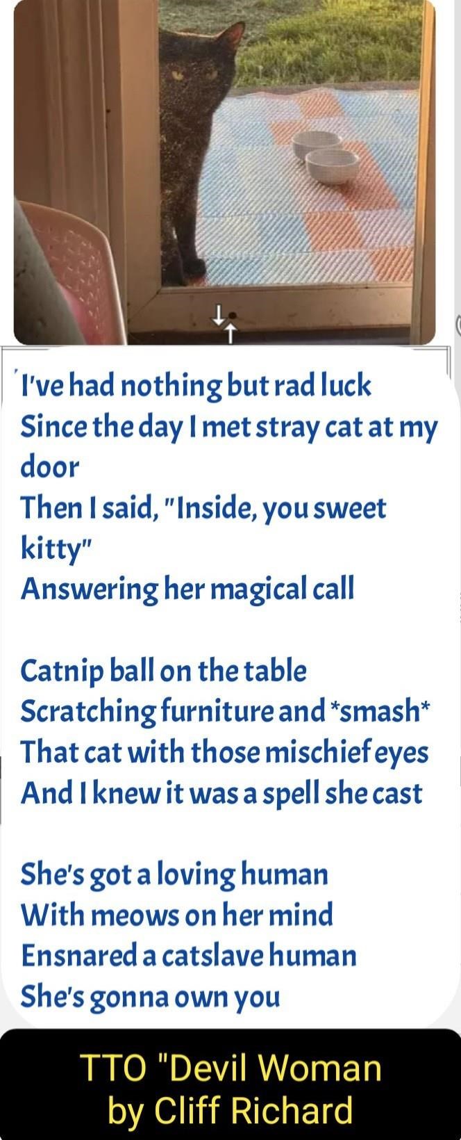 'I've had nothing but rad luck Since the day I met stray cat at my door Then I said, "Inside, you sweet kitty" Answering her magical call Catnip ball on the table Scratching furniture and *smash* That cat with those mischief eyes And I knew it was a spell she cast She's got a loving human With meows on her mind Ensnared a catslave human She's gonna own you TTO "Devil Woman by Cliff Richard