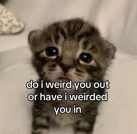 do i weird you out or have i weirded you in