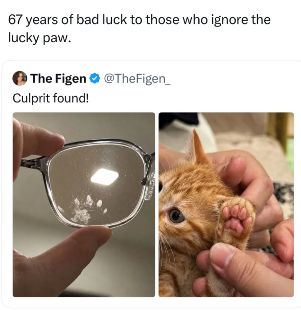 67 years of bad luck to those who ignore the lucky paw. The Figen @TheFigen_ Culprit found!