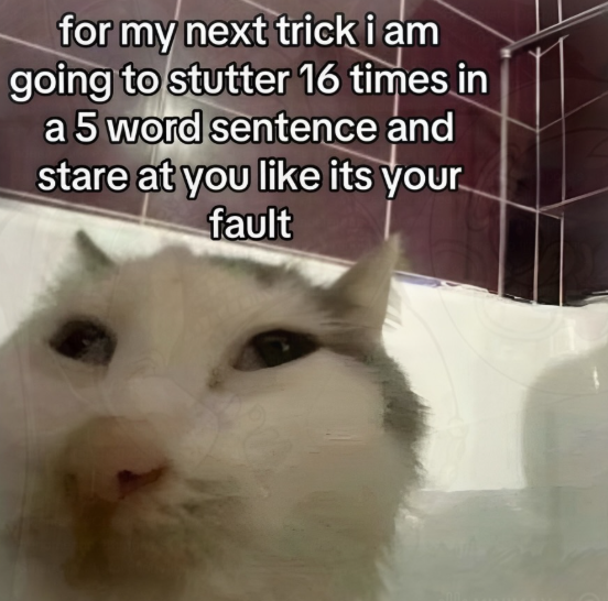 for my next trick i am going to stutter 16 times in a 5 word sentence and stare at you like its your fault