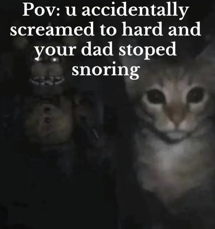 Pov: u accidentally screamed to hard and your dad stoped セン snoring