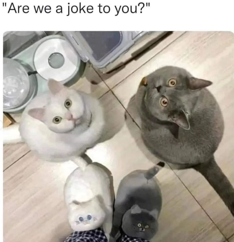"Are we a joke to you?" 90