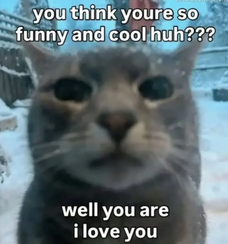 you think youre so funny and cool huh??? well you are i love you