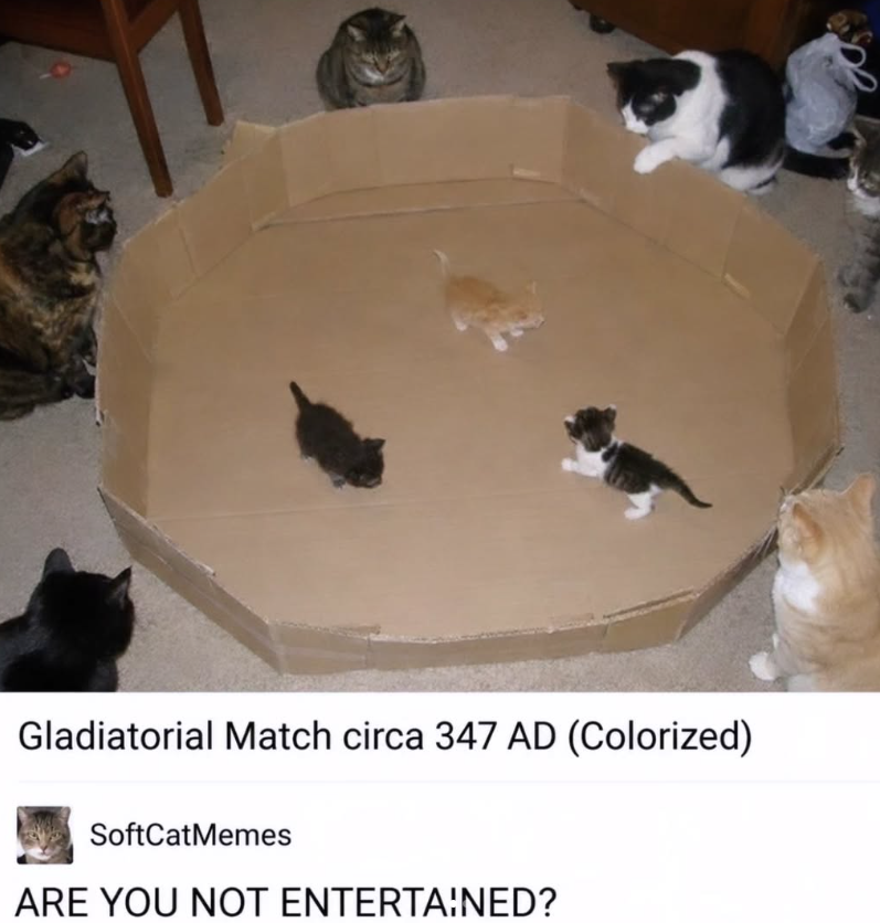 Gladiatorial Match circa 347 AD (Colorized) SoftCatMemes ARE YOU NOT ENTERTAINED?