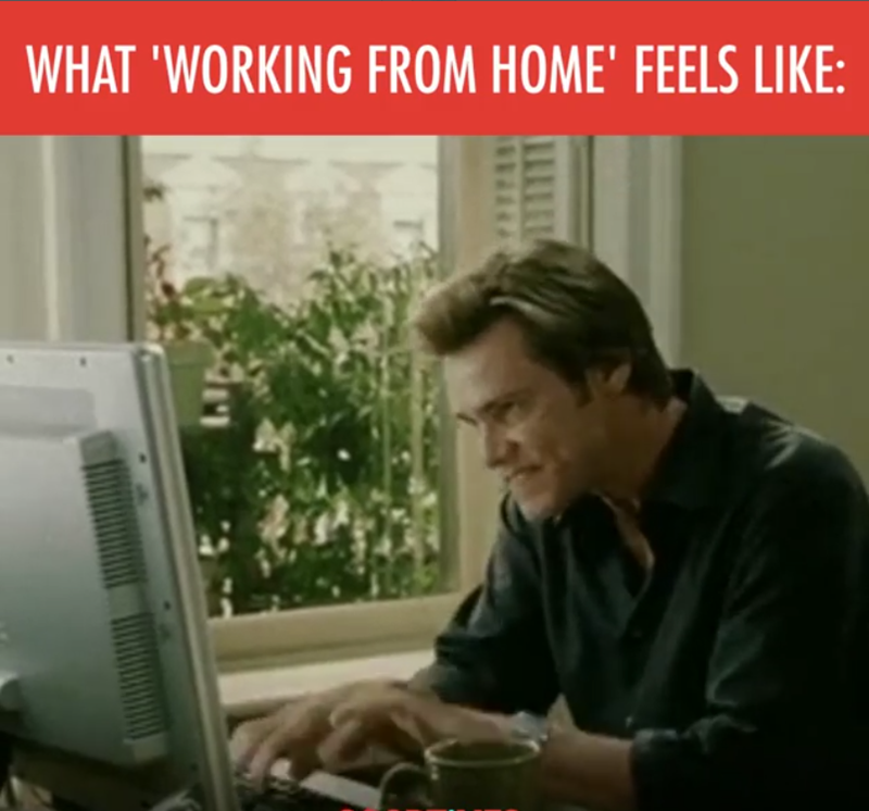 WHAT 'WORKING FROM HOME' FEELS LIKE: