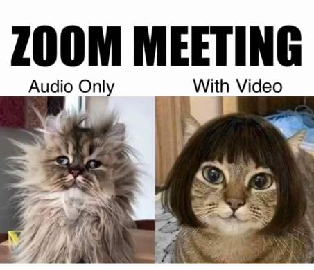 ZOOM MEETING Audio Only With Video