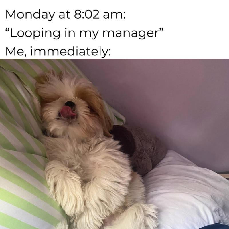 Monday at 8:02 am: "Looping in my manager" Me, immediately: