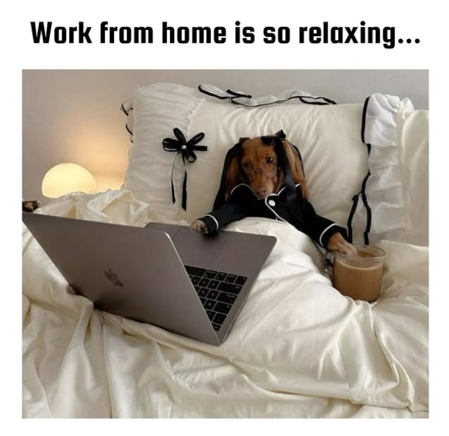 Work from home is so relaxing...