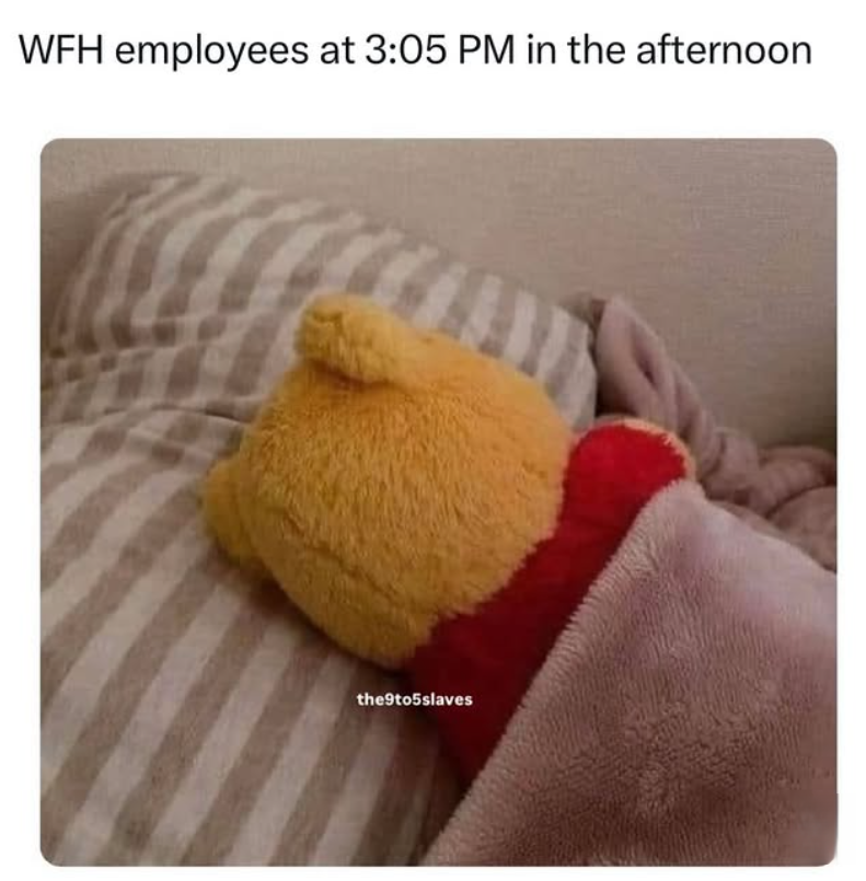 WFH employees at 3:05 PM in the afternoon the9to5slaves