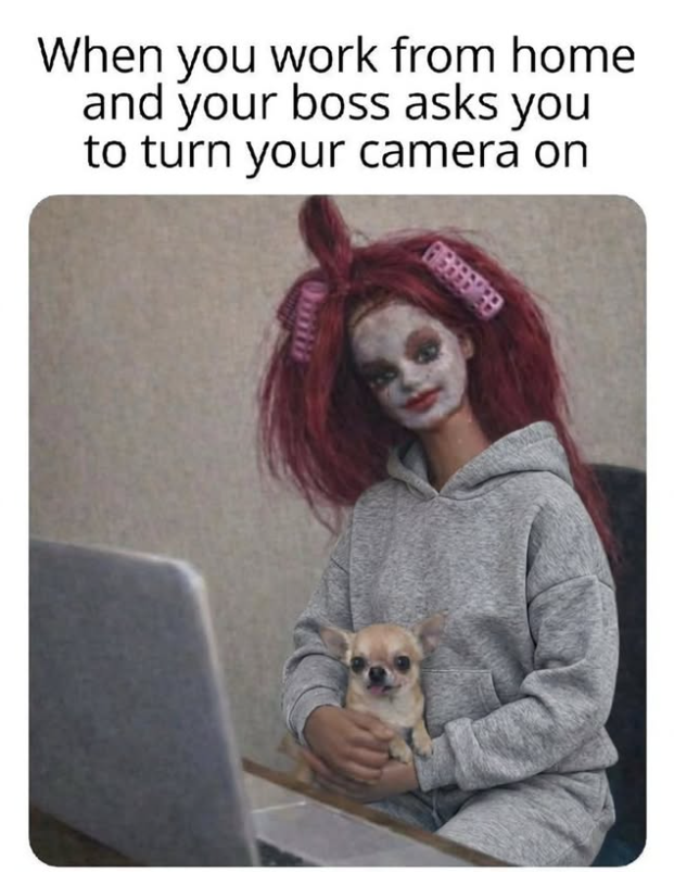 When you work from home and your boss asks you to turn your camera on