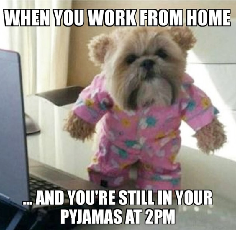 WHEN YOU WORK FROM HOME ....AND YOU'RE STILL IN YOUR PYJAMAS AT 2PM