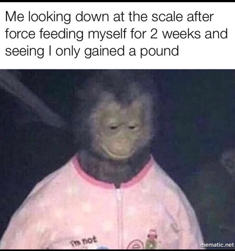 Me looking down at the scale after force feeding myself for 2 weeks and seeing I only gained a pound Tm not mematic.net