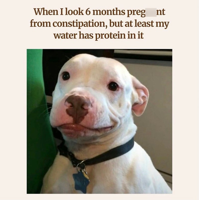 When I look 6 months pregnt from constipation, but at least my water has protein in it