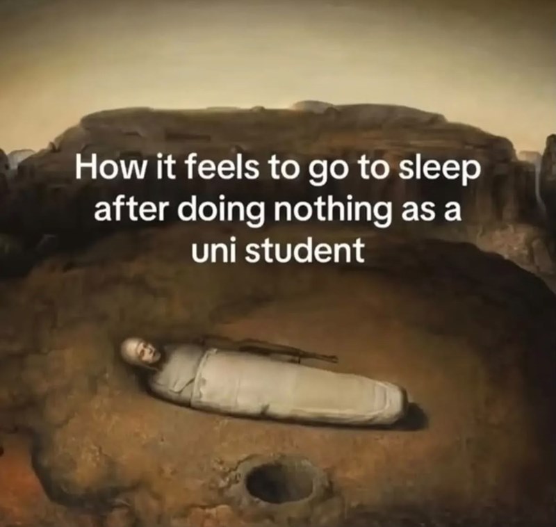 How it feels to go to sleep after doing nothing as a uni student