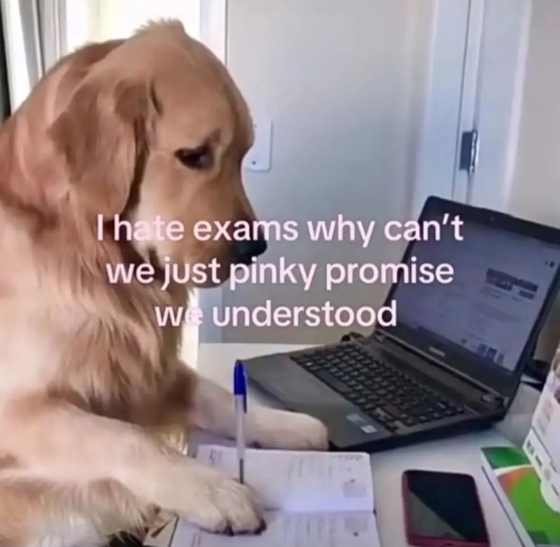 I hate exams why can't we just pinky promise we understood