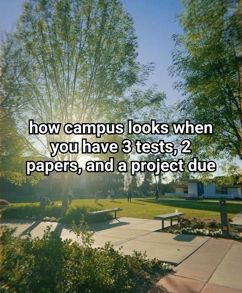 how campus looks when you have 3 tests, 2 papers, and a project due
