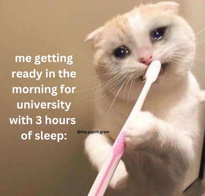 me getting ready in the morning for university with 3 hours of sleep: @the.psych.gram