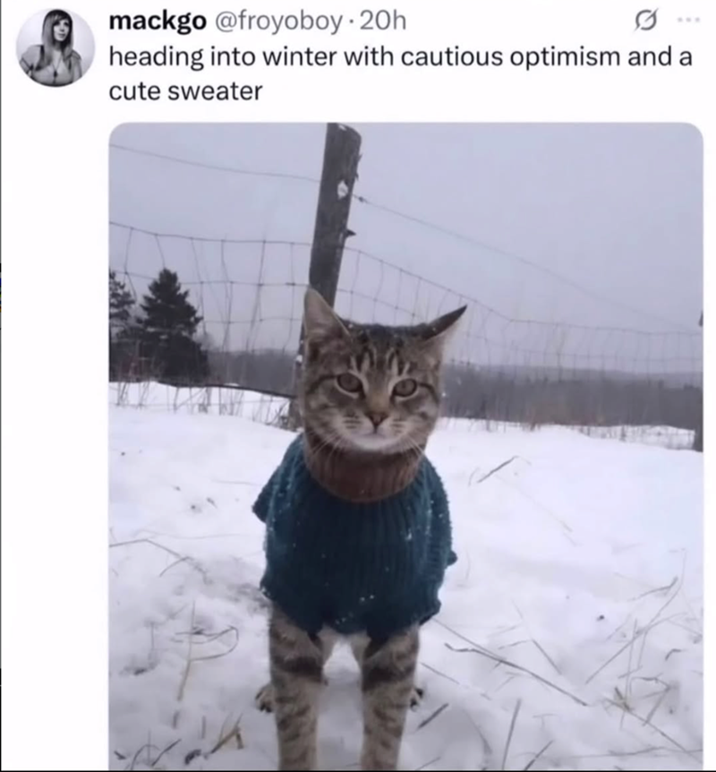 mackgo @froyoboy. 20h heading into winter with cautious optimism and a cute sweater