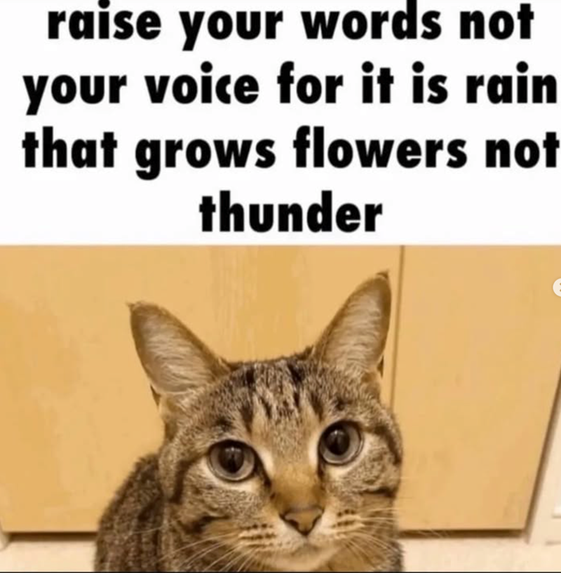 raise your words not your voice for it is rain that grows flowers not thunder