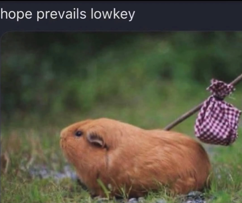 hope prevails lowkey
