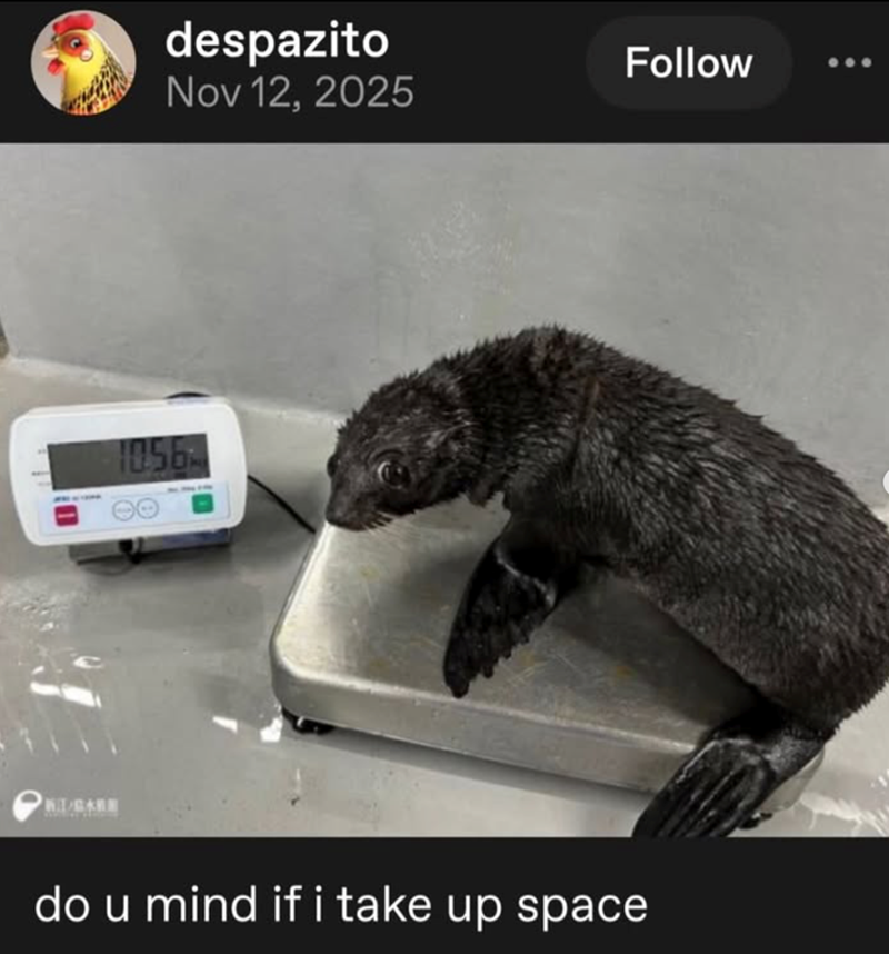 despazito Nov 12, 2025 1056 Follow do u mind if i take up space